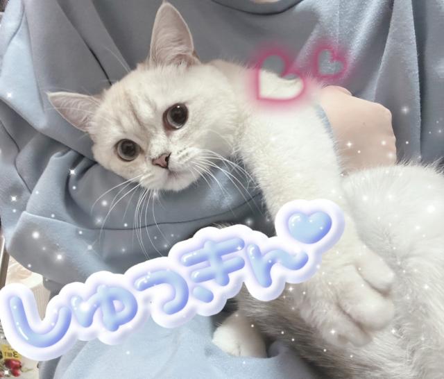 るい