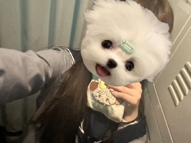 りせ