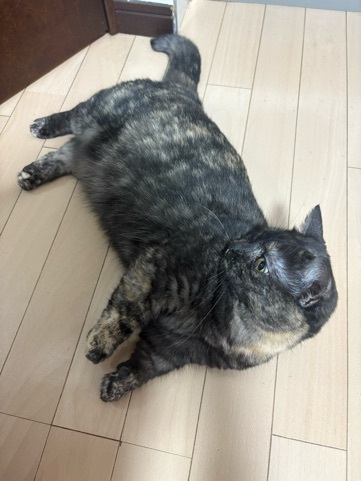 りりちよ