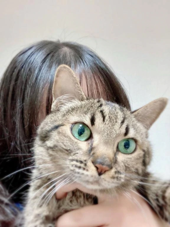 はな