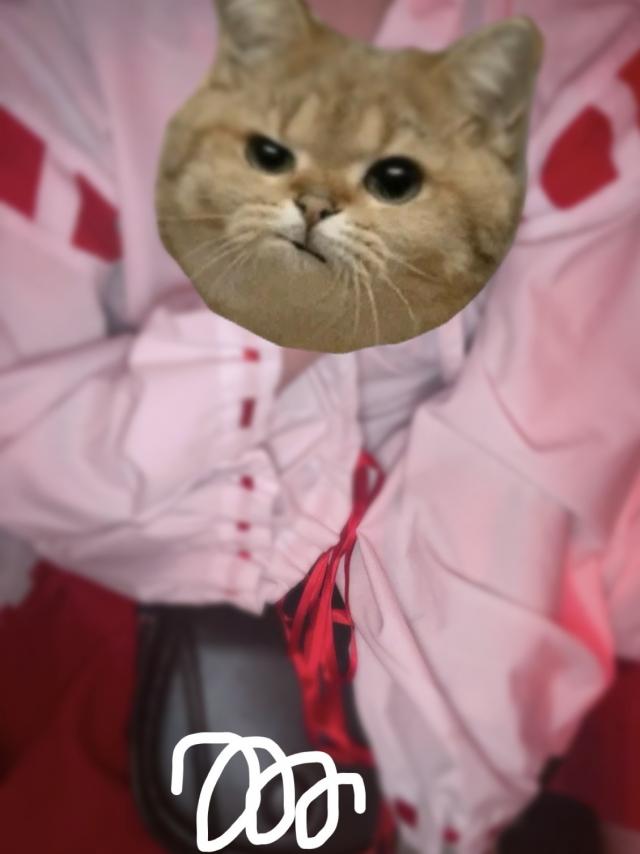 ひなこ