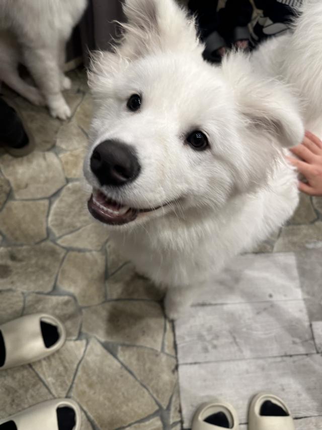 みずき