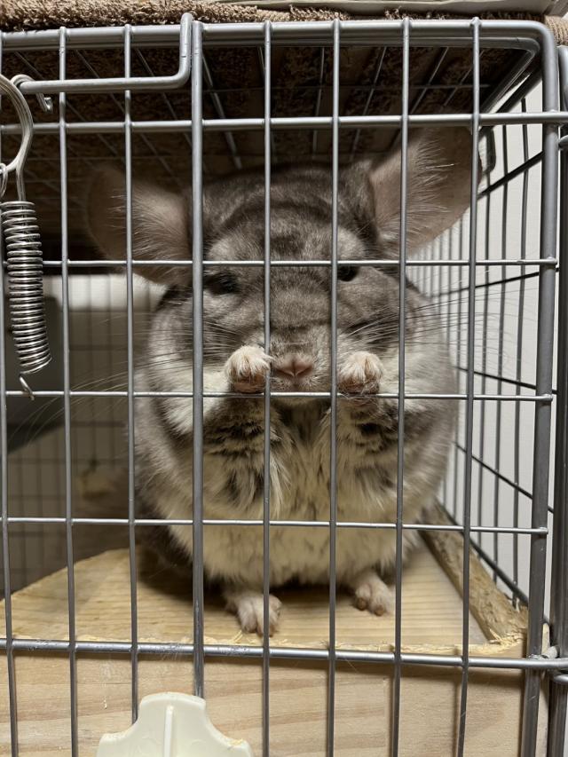 ゆう