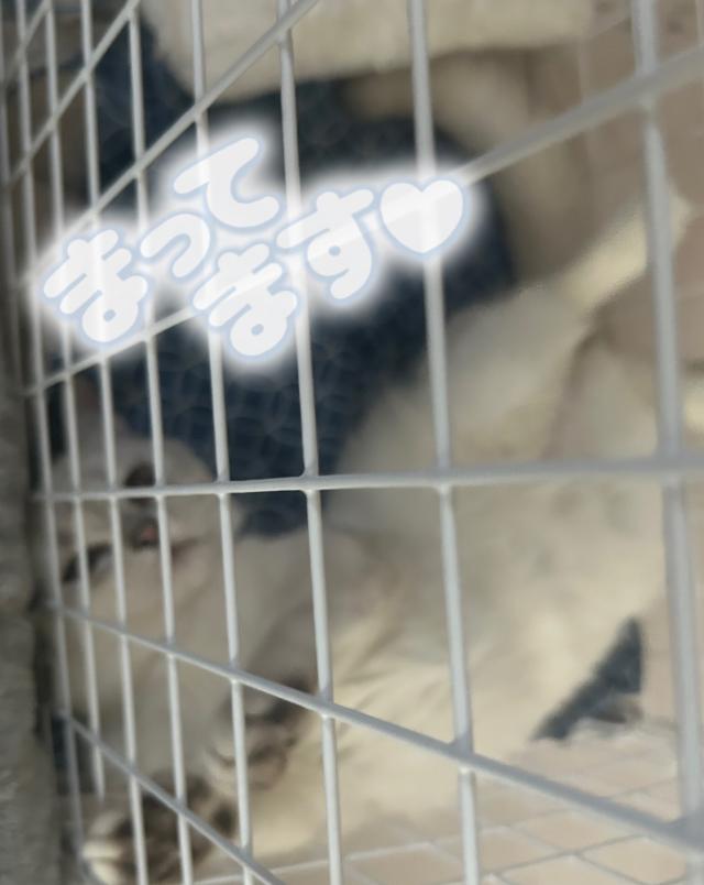 るい