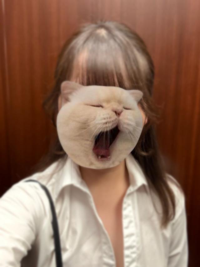 ひなこ