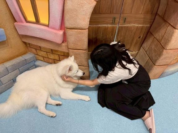 ゆな