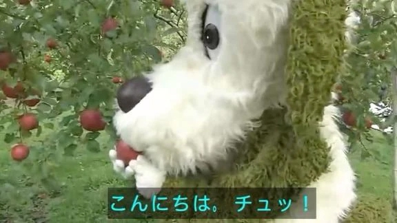 かしい