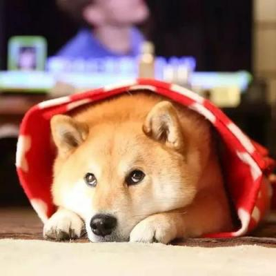 すい