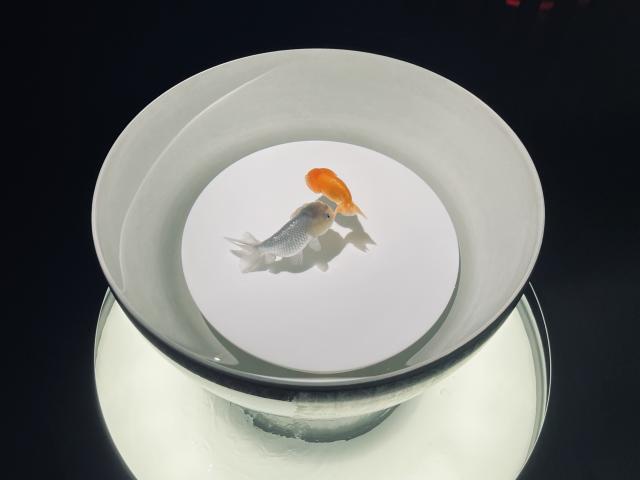 なお