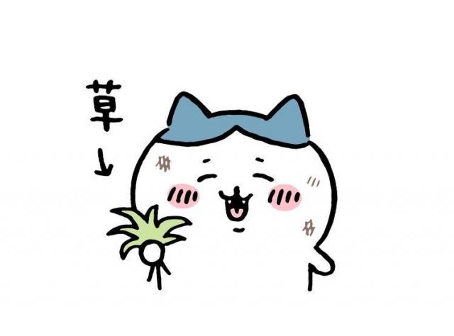さゆり
