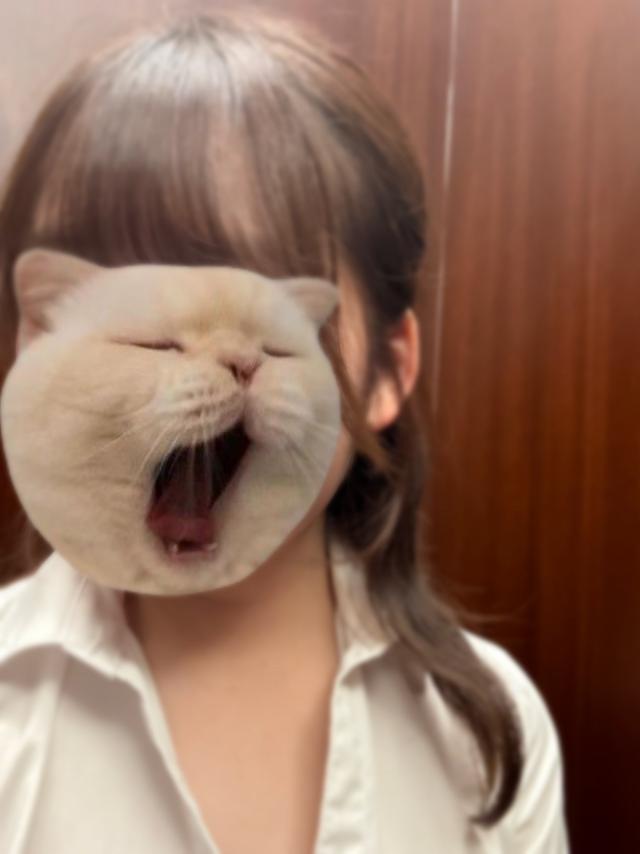 ひなこ