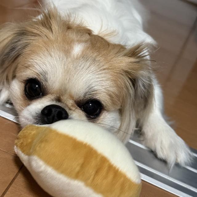 まなか