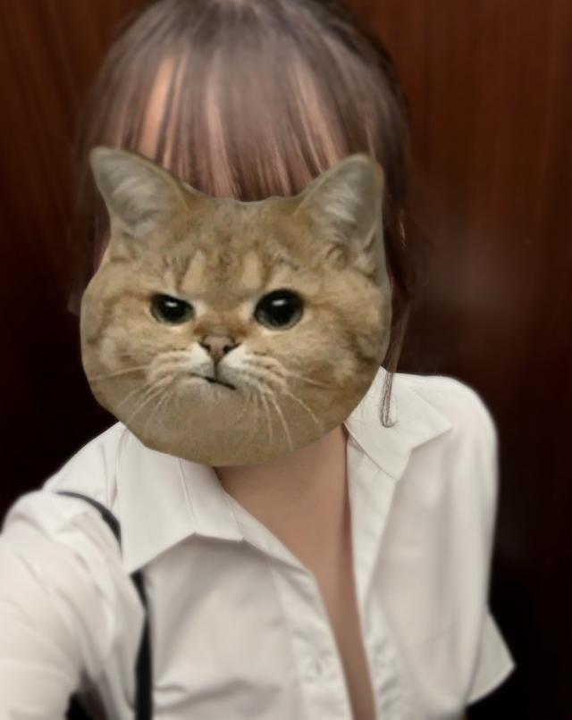 ひなこ
