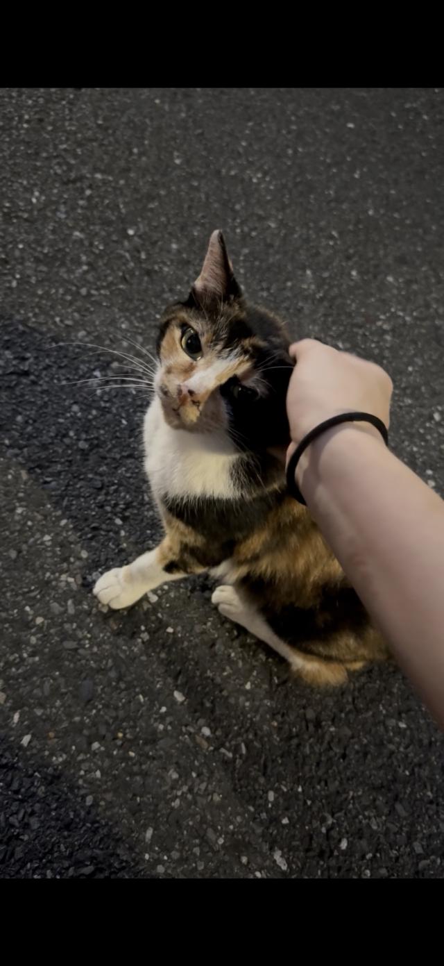ゆら