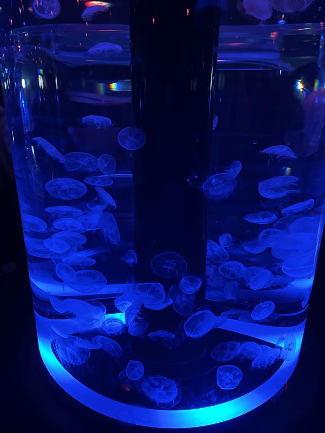 こころ