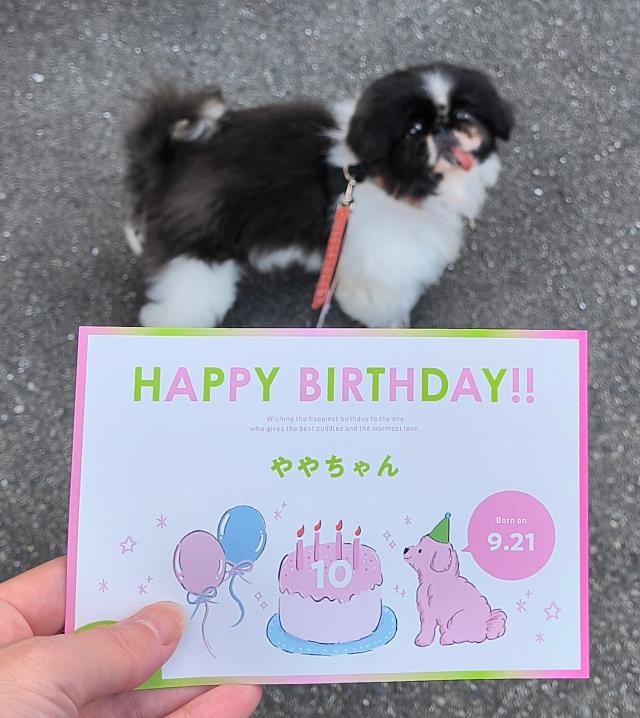 ゆう