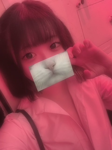 のどか