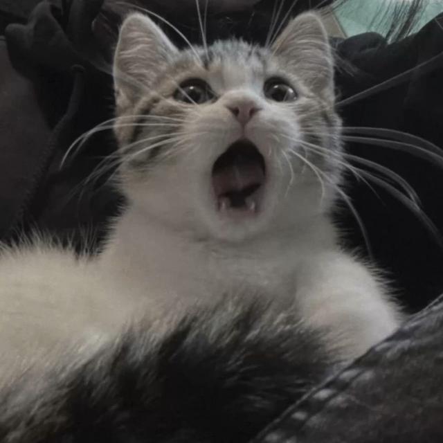 なのは