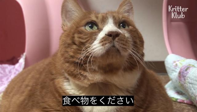 ゆら