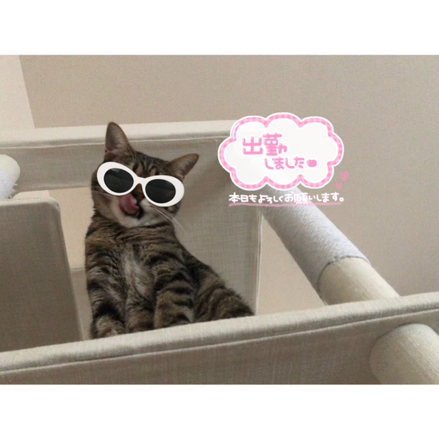 のん