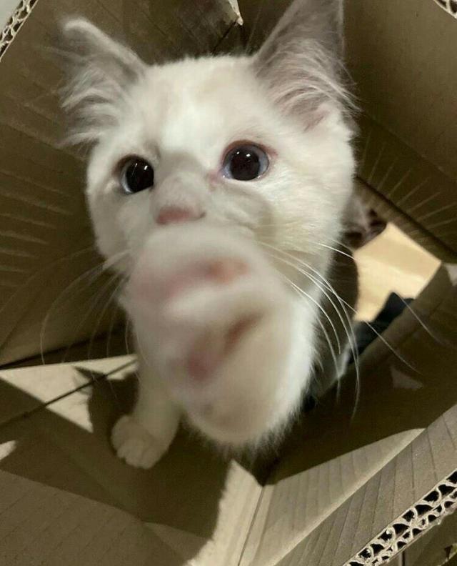なのは