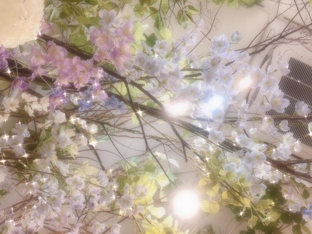 こまち