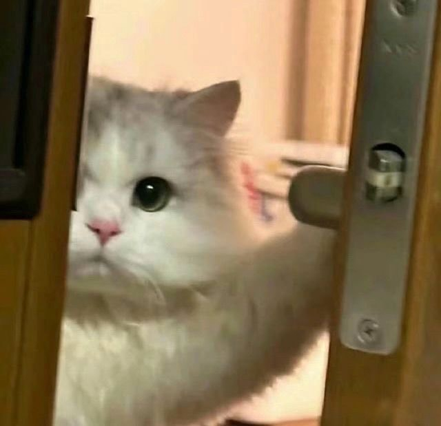 なのは