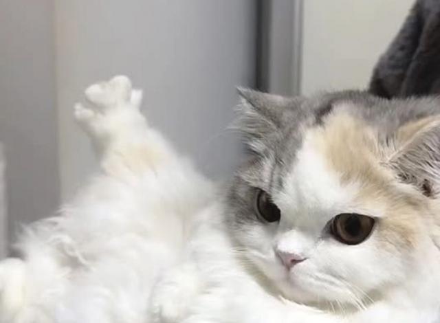 なのは