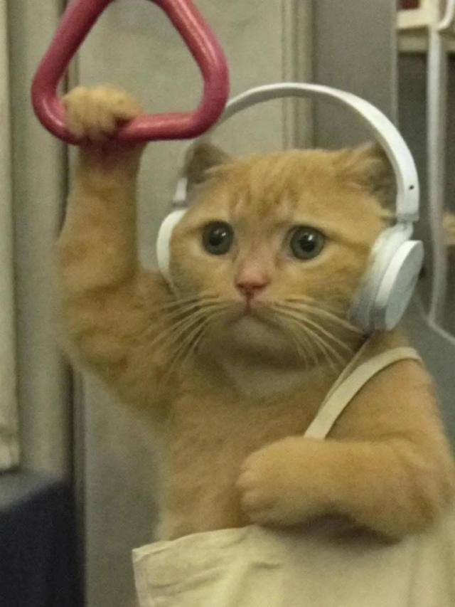 なのは
