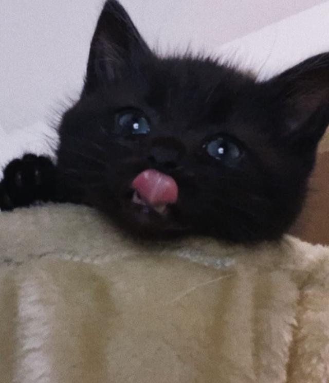 なのは
