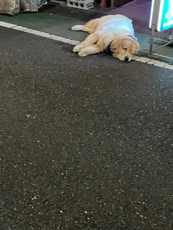 さな