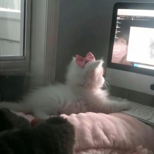 なのは