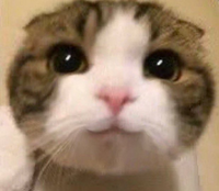 すい
