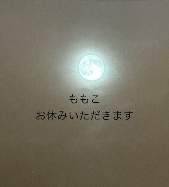 ももこ