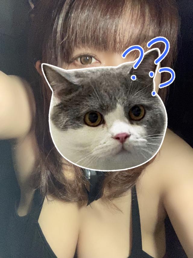 さくら