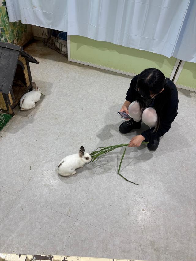 かぐら