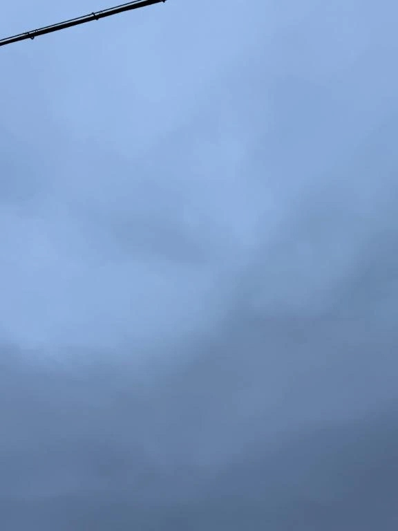 せいら