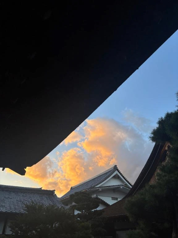 こう