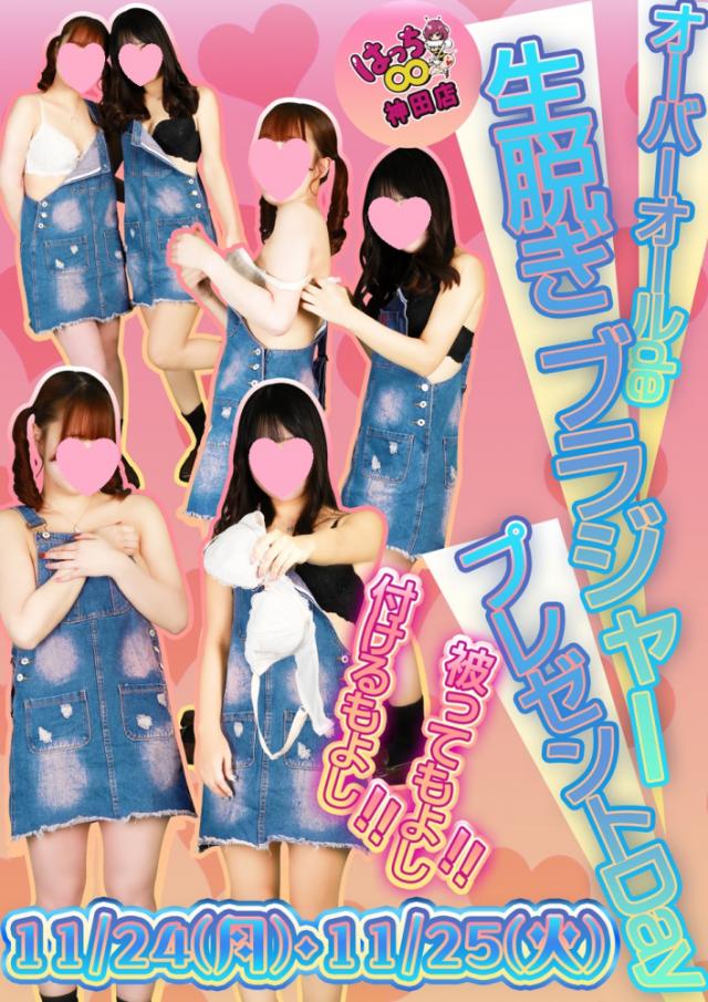 はちこ神田ブロガー