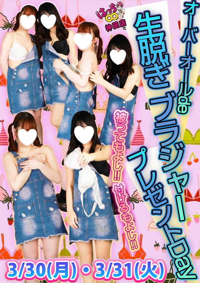 はちこ神田ブロガー