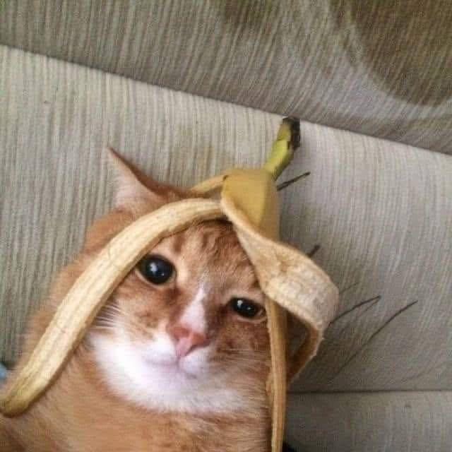 なのは