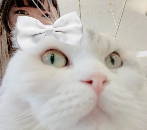 あずさ