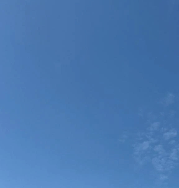 せいら