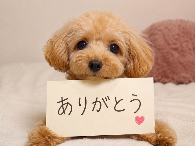らむ