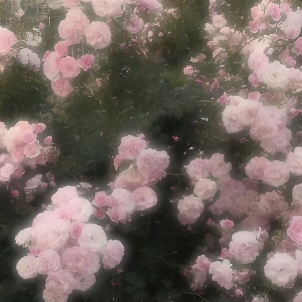 きき