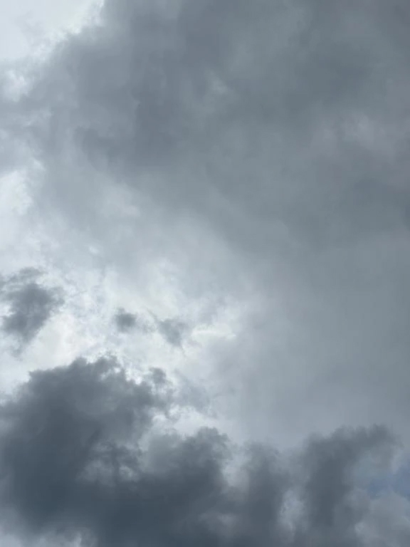 れな