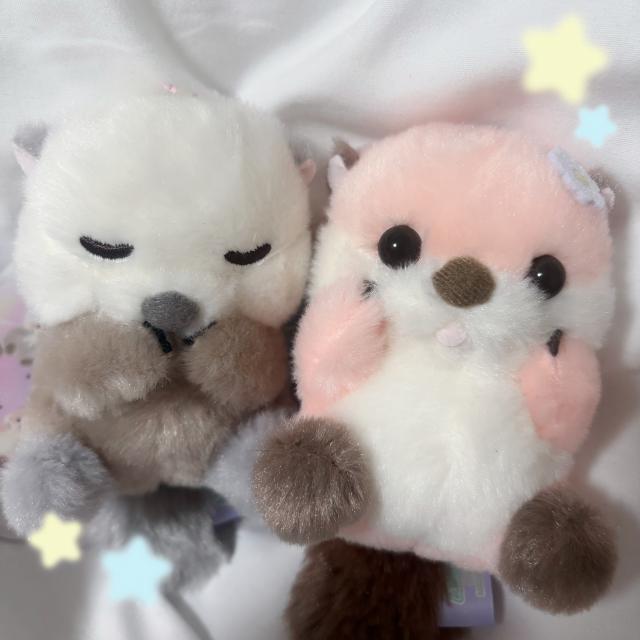 しほ