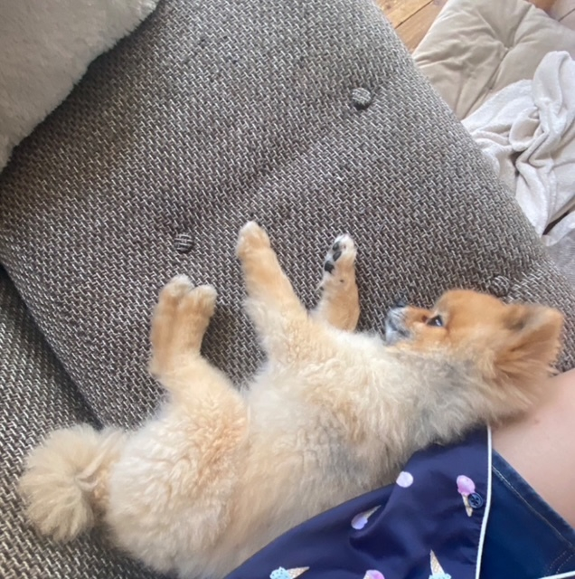 にの