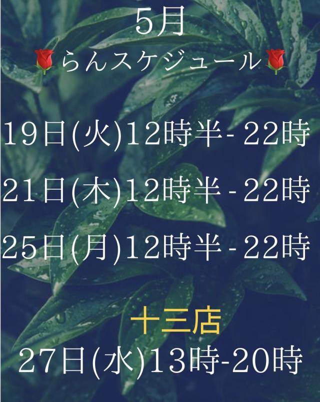 5月後半スケジュール