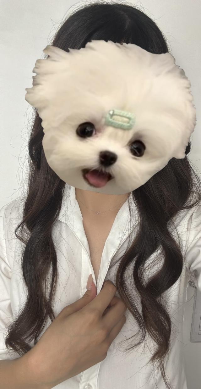 まゆ